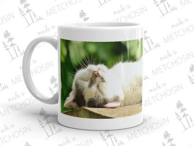 custom photo mug with a cat